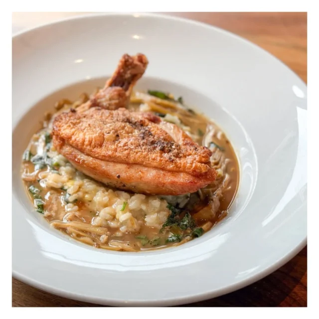 Our summer menu is officially here! Introducing the Wild Acres Farm Brick Roasted Chicken // Lemon risotto, artichoke hearts, roasted chicken jus
.
#minneapolis #downtown #italiancuisine #dinner